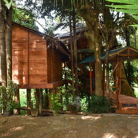 Kumbuk Tree House Villa Tissamaharama Buitenkant foto