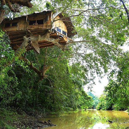 Kumbuk Tree House Villa Tissamaharama Buitenkant foto