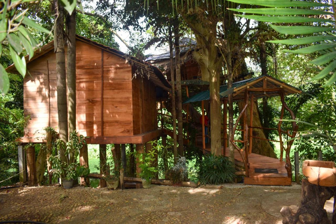 Kumbuk Tree House Villa Tissamaharama Buitenkant foto
