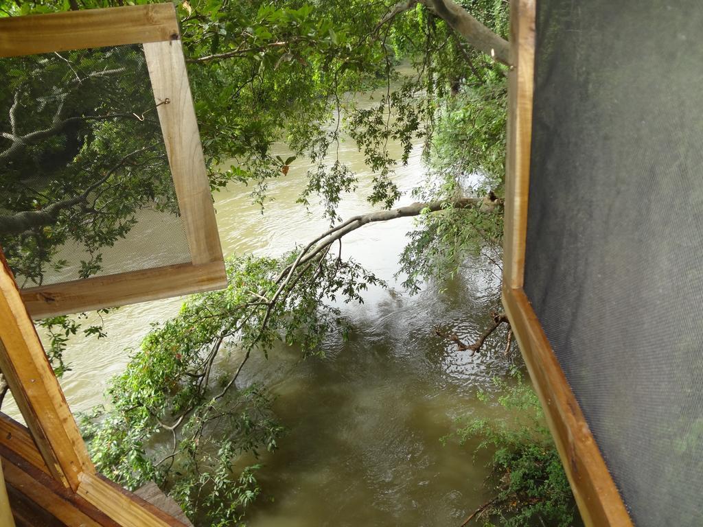 Kumbuk Tree House Villa Tissamaharama Buitenkant foto