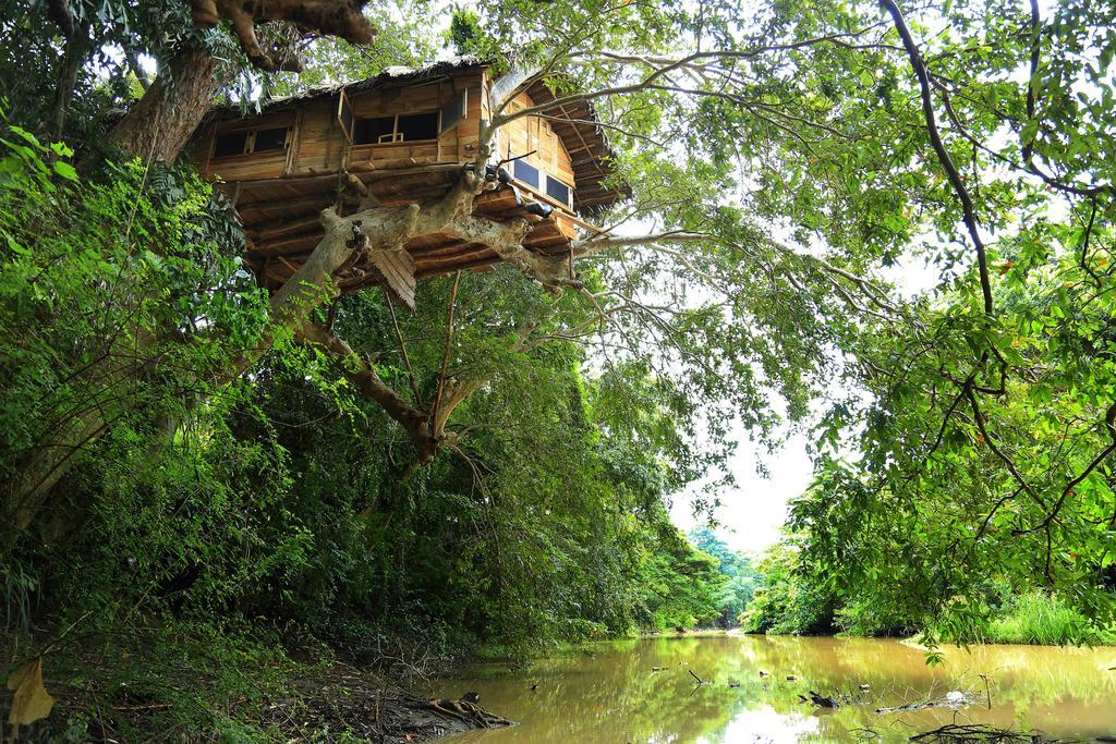 Kumbuk Tree House Villa Tissamaharama Buitenkant foto