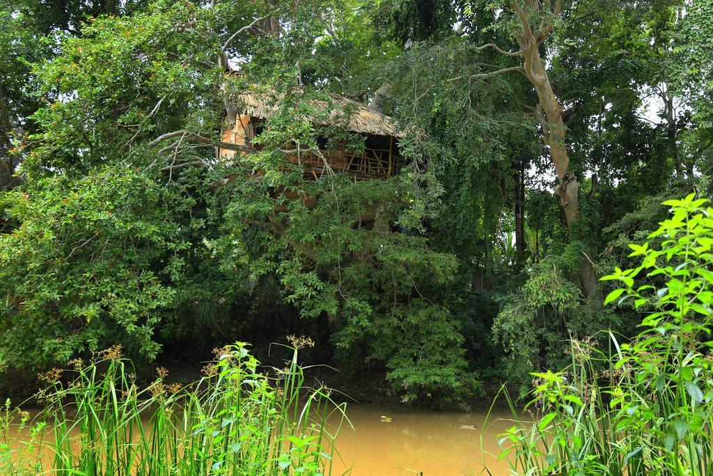 Kumbuk Tree House Villa Tissamaharama Buitenkant foto