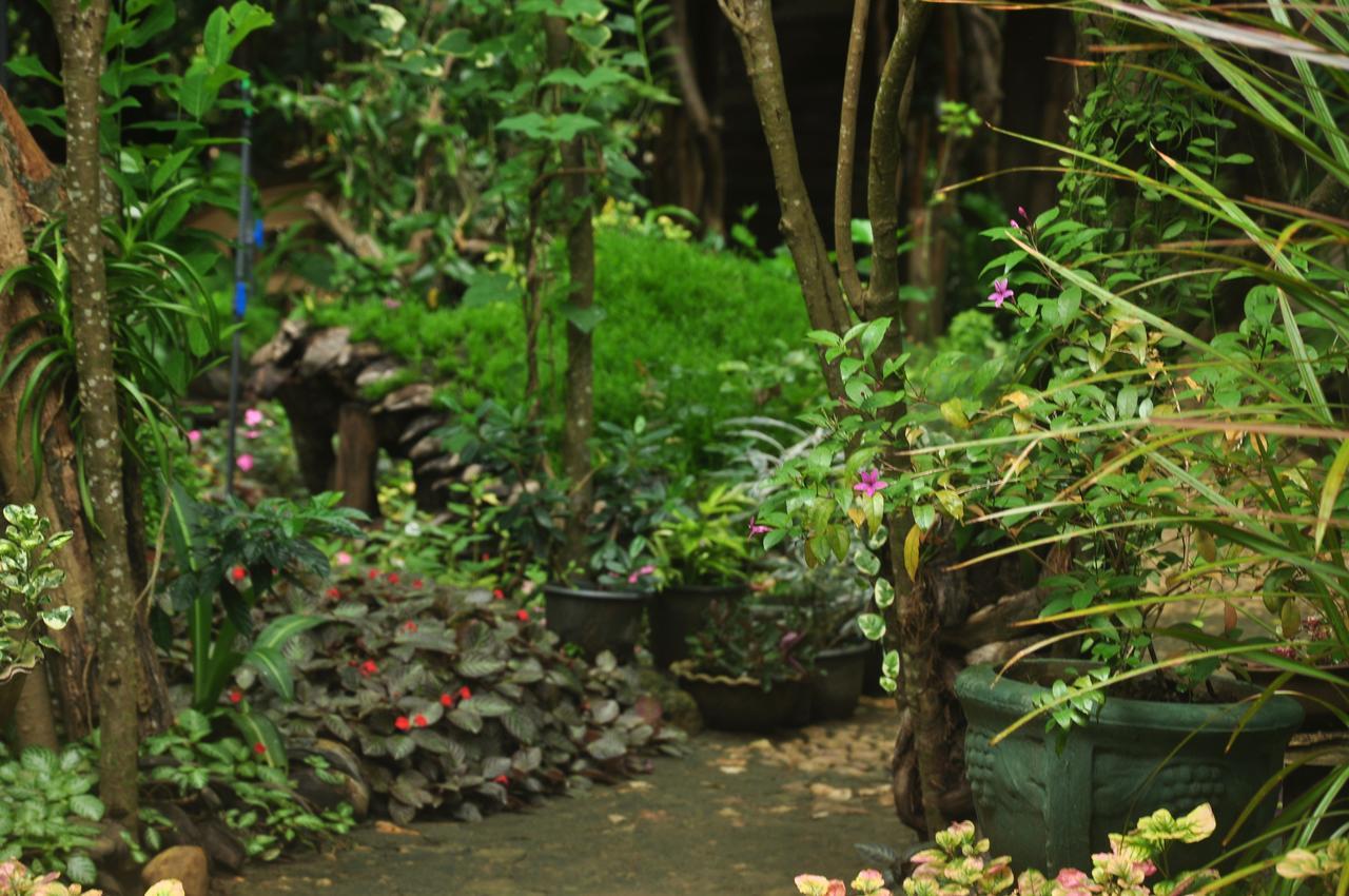 Kumbuk Tree House Villa Tissamaharama Buitenkant foto