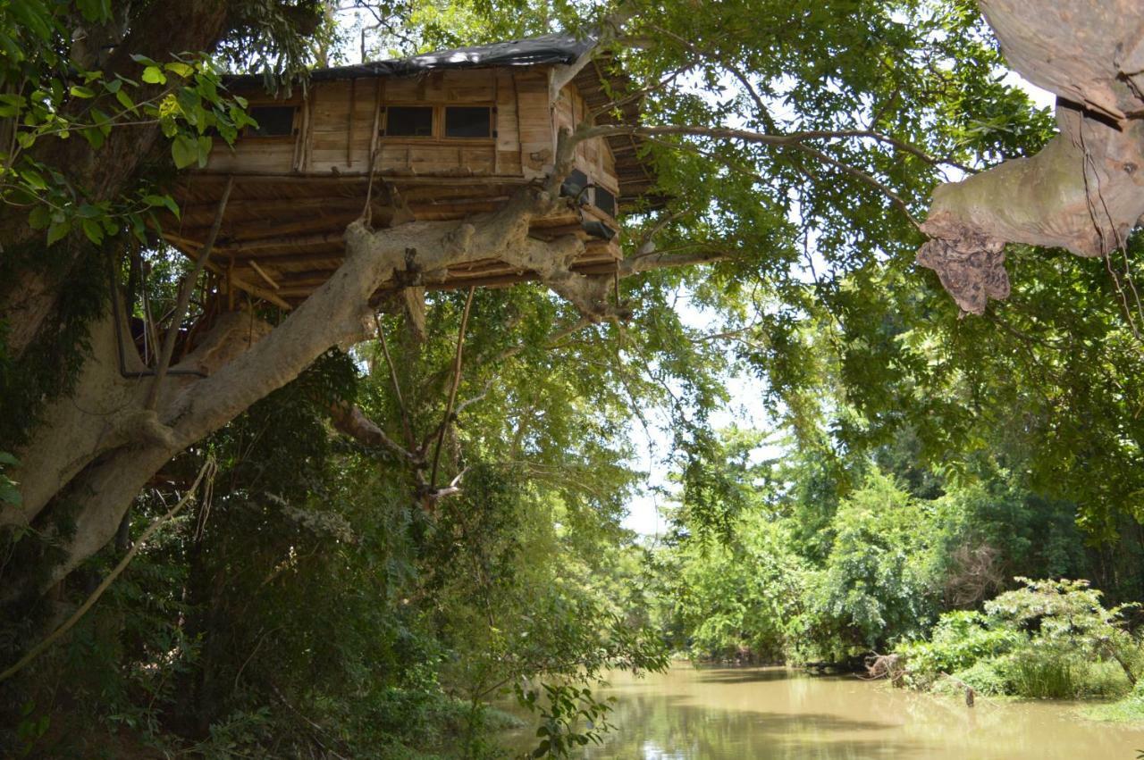 Kumbuk Tree House Villa Tissamaharama Buitenkant foto