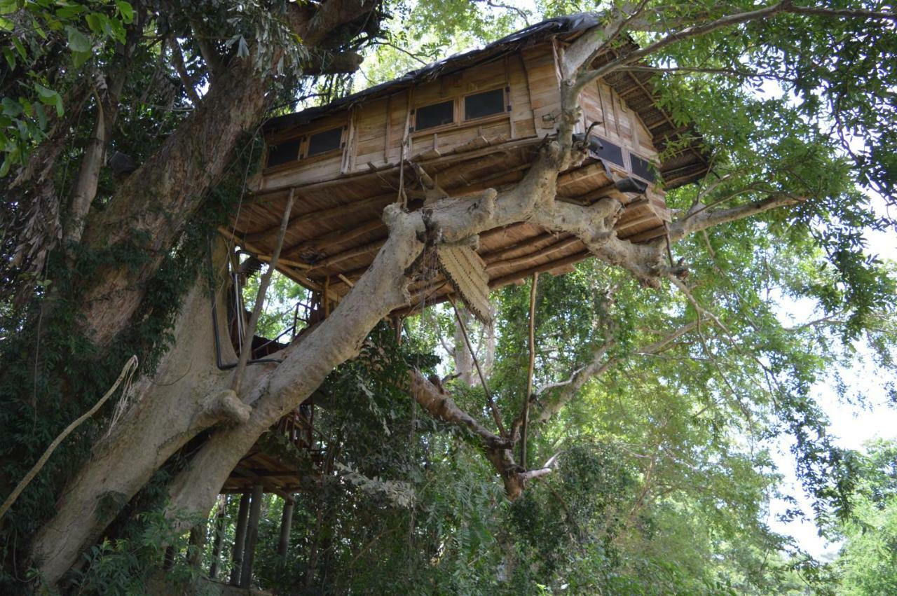 Kumbuk Tree House Villa Tissamaharama Buitenkant foto